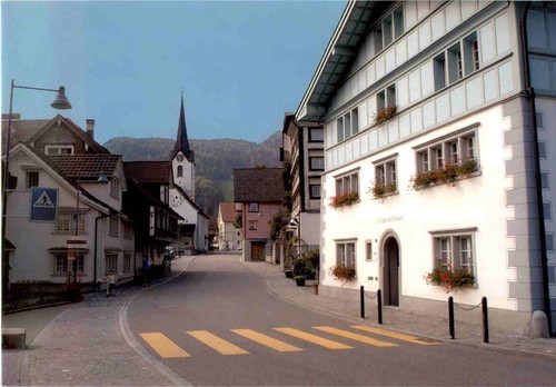 Brunnadern n8578 - brunnadern,