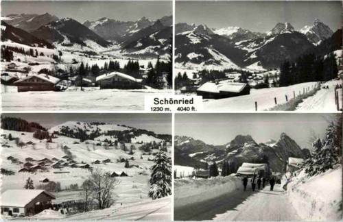 Schönried n8216 - schönried, -n8216