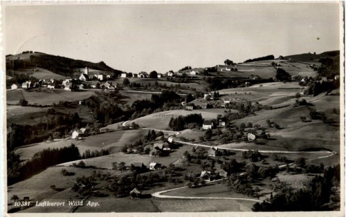 Forest 197800 - forest, -197800