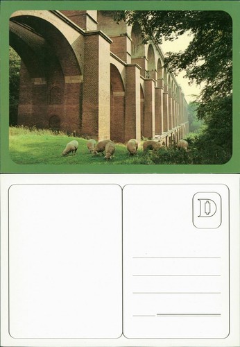 Postcard animals sheep - sheep,