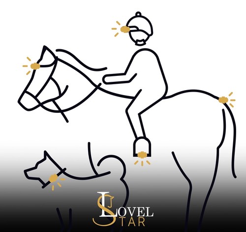 Lovelstar led spots - lovelstar, pferd