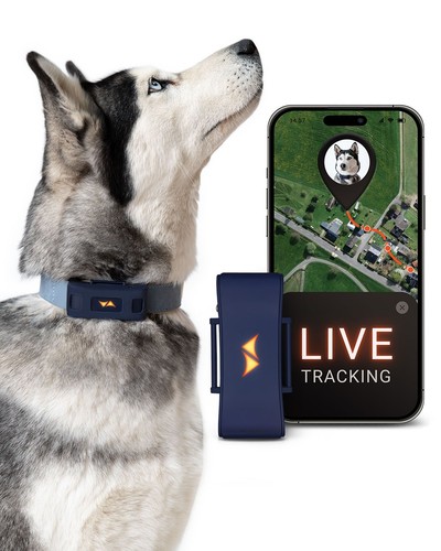 Paj gps pet finder - gps,