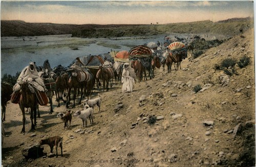 Algeria other 363182 - algeria, other,
