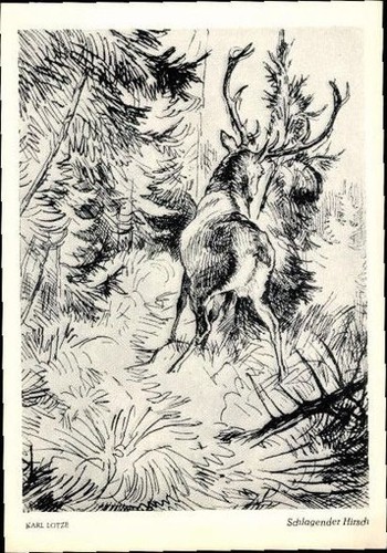 Old postcard deer - old, deer,